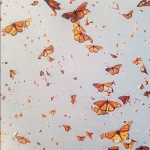 Meet your Posher, July